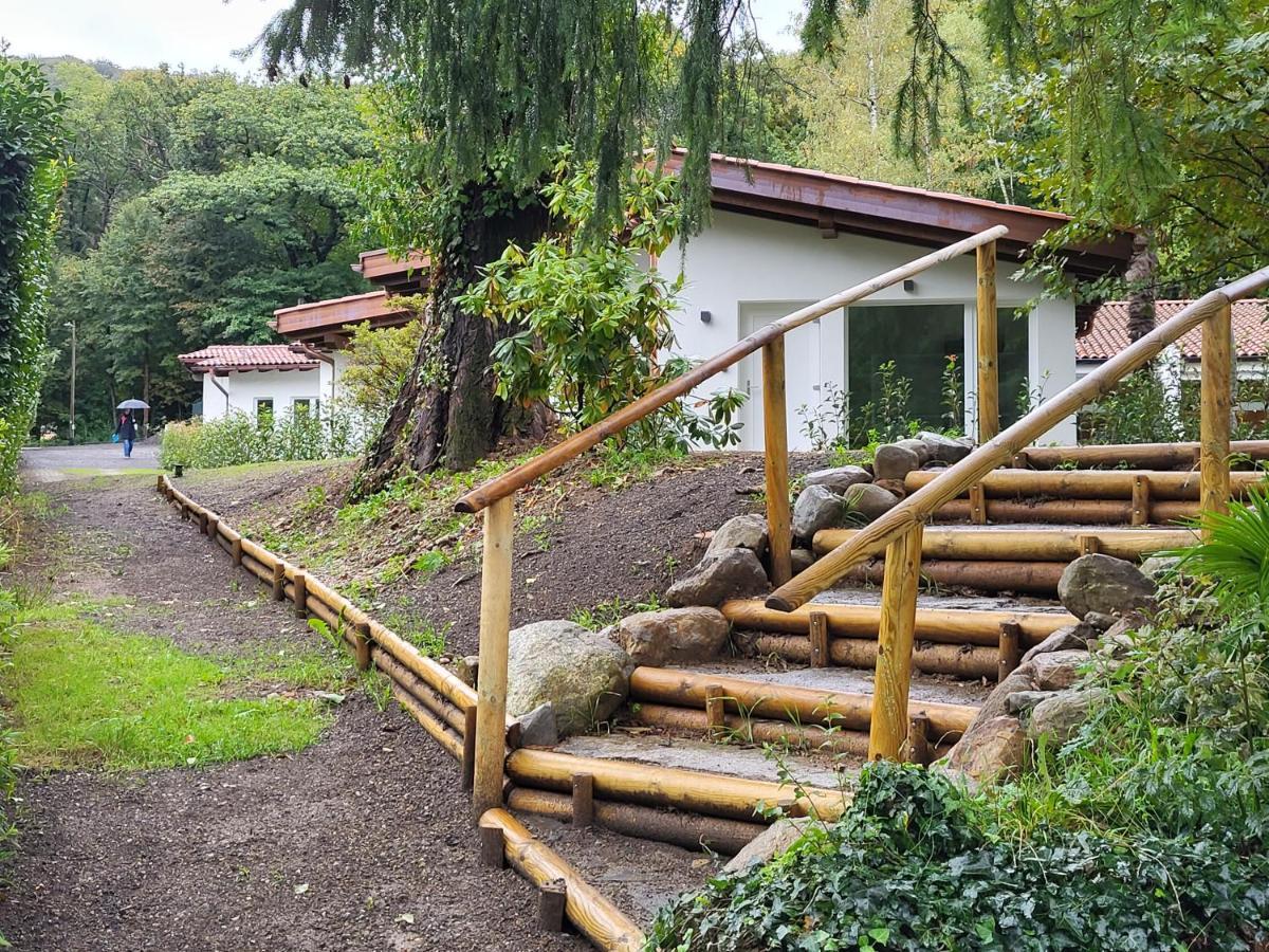 Le Betulle B&B Origlio Екстериор снимка